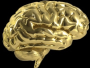 GOLD BRAIN